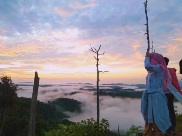bukit tabalo bungo jambi