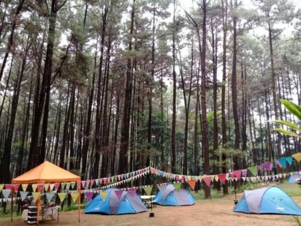 camping di gunung pancar bogor jawa barat