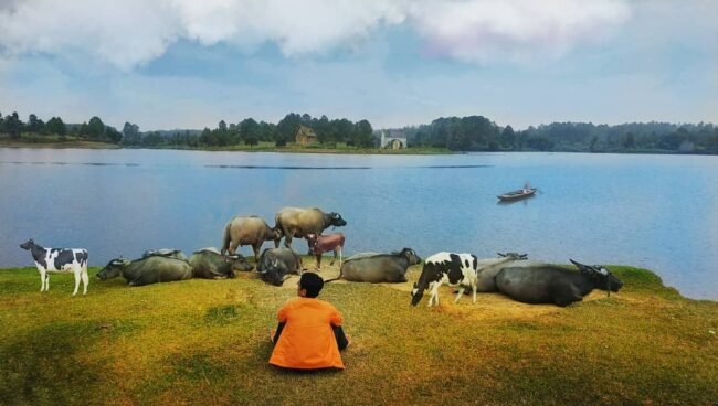 danau aek natonang samosir