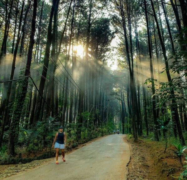 lokasi Gunung Pancar Bogor