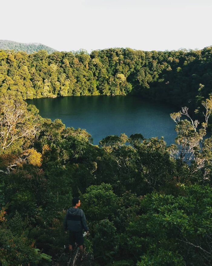 puncak bukit daun