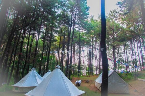glamping di gunung pancar