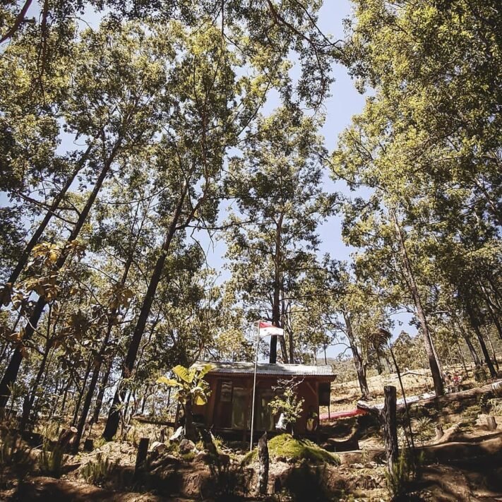 Hutan Lindung Egon Ilimedo