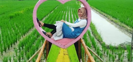 taman geswood Gadingrejo Pringsewu