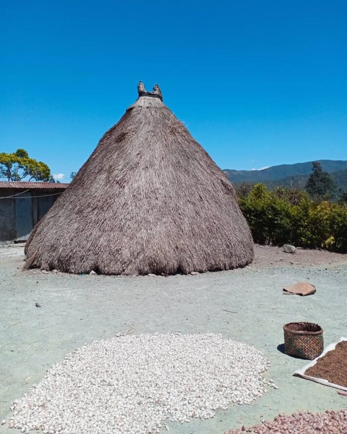 Uniknya Rumah Adat Ume Kebubu Di Pulau Timor - KATA OMED