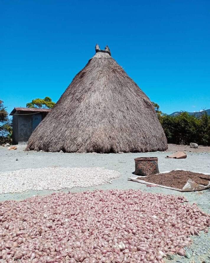 Uniknya Rumah Adat Ume Kebubu Di Pulau Timor Kata Omed