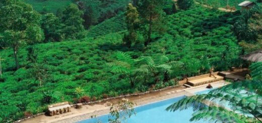 Bukit Kacapi Desa Tanjung Karang Kecamatan Cigalontang, Kabupaten Tasikmalaya