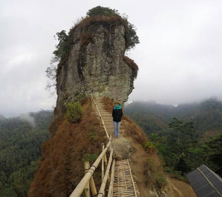 Bukit Widosari