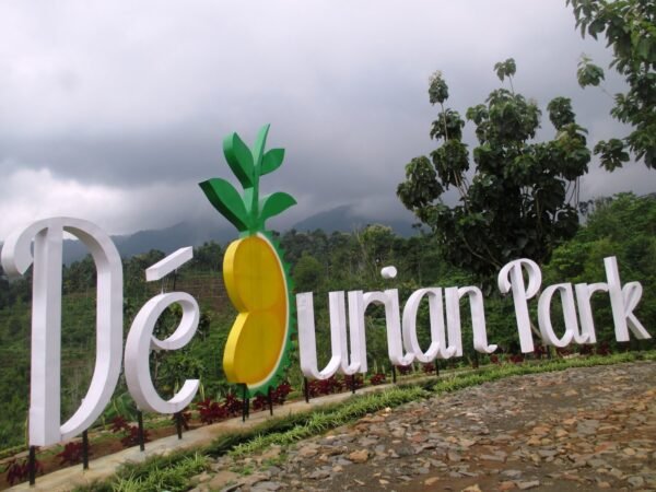 tempat wisata di Wonosalam tempat wisata di Wonosalam