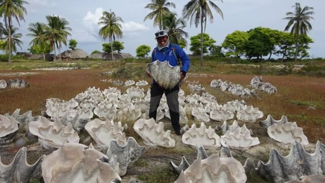 Tambak Garam Kampung Lobo Bali