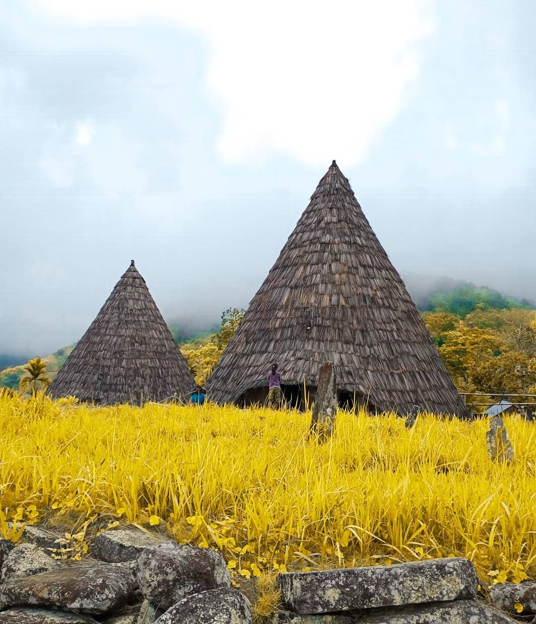 kampung adat todo