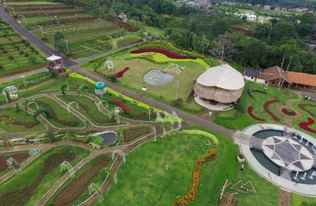 Cam Hulu Cai Bogor Cam Hulu Cai Bogor