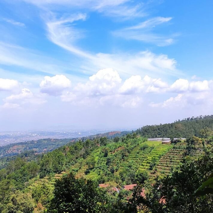 Bukit Palasari Bandung