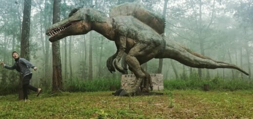 Mojosemi Dinosaurus Park magetan
