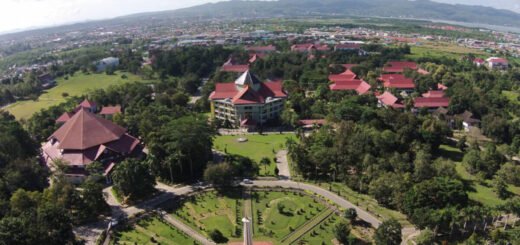 Universitas Haluoleo