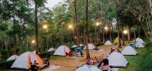 Villa Pinus Kenteng, Semarang, Jawa Tengah⁣