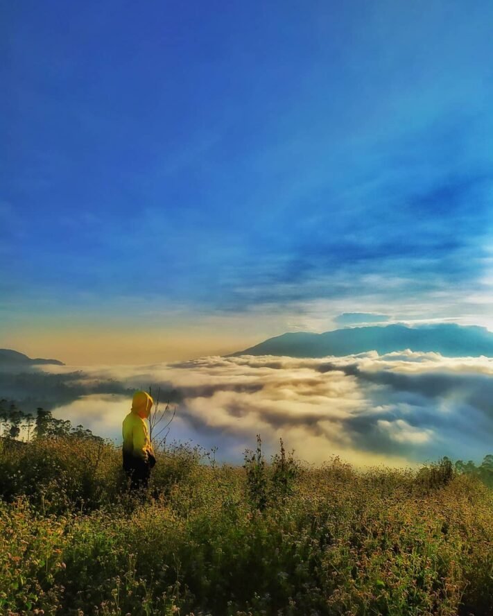 lautan awan di Taman Langit Pangalengan