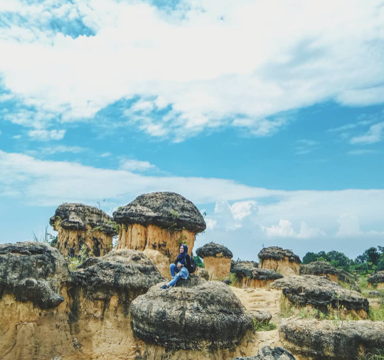 Bukit Jamur Gresik Jawa Timur