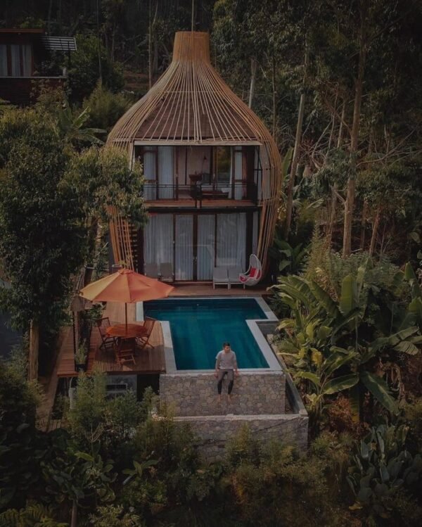 Bubu Jungle