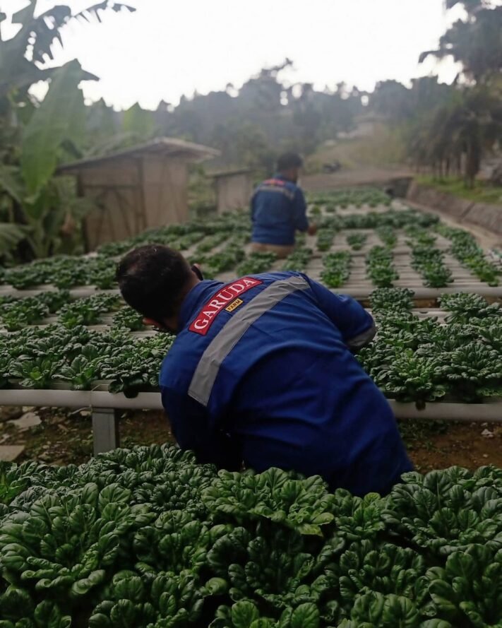 Garuda Farm di bogor