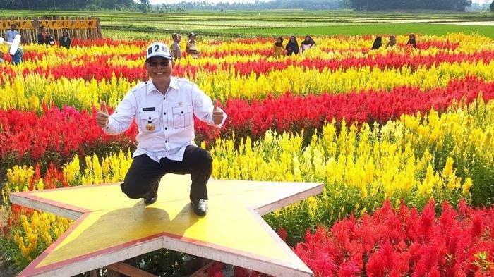 Harga Tiket Taman  Bunga  Celosia Palembang Dan Lokasinya 