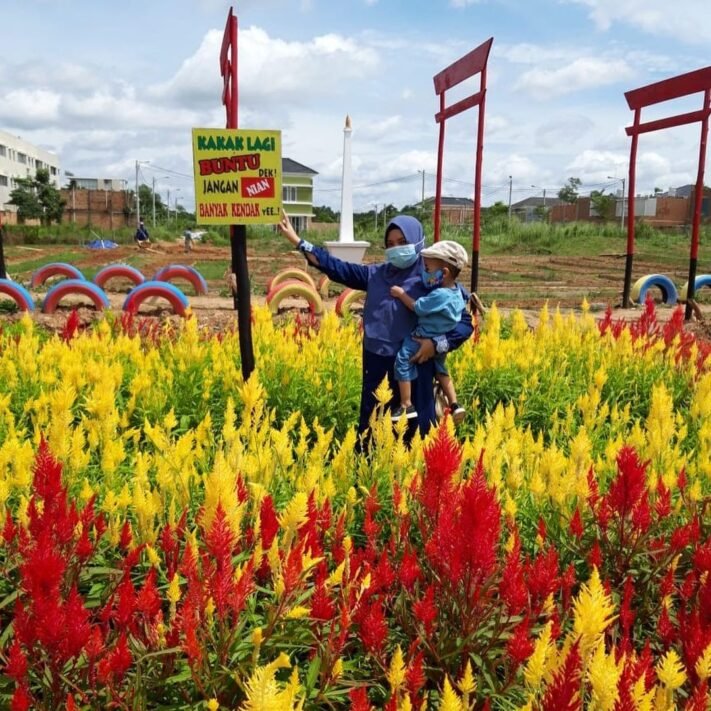  Harga  Tiket  Taman  Bunga  Celosia  Palembang  Dan Lokasinya 