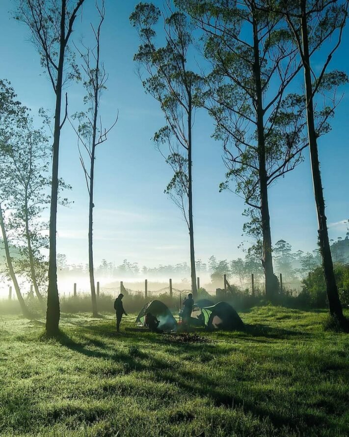 Biaya Camping di Bukit Perkemahan Rancaupas Ciwidey ...