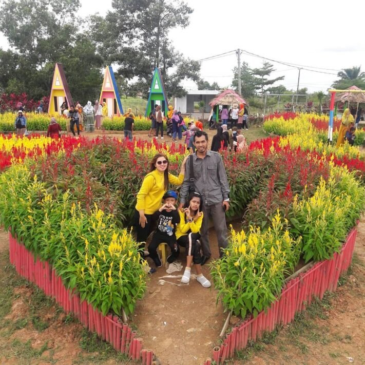 Harga Tiket Taman  Bunga  Celosia Palembang  Dan Lokasinya 