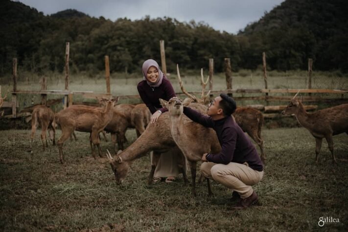 rusa di Ranca Upas
