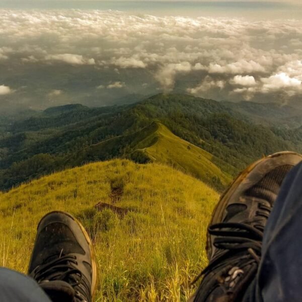 Puncak Gunung Wilis