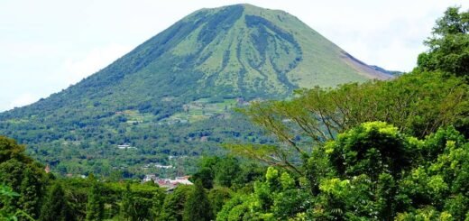 Cagar Alam Gunung Lokon