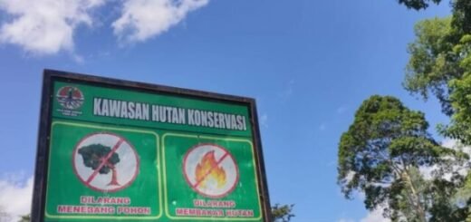 Cagar Alam Rimbopanti, Cagar alam di Sumatera