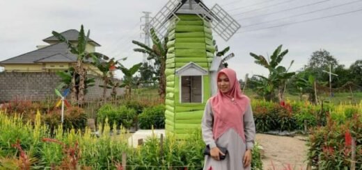 Taman Bunga Celosia Binjai