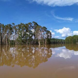 Cagar Alam Sungai Bian