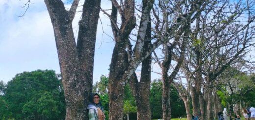 Taman Permana di Pelaihari