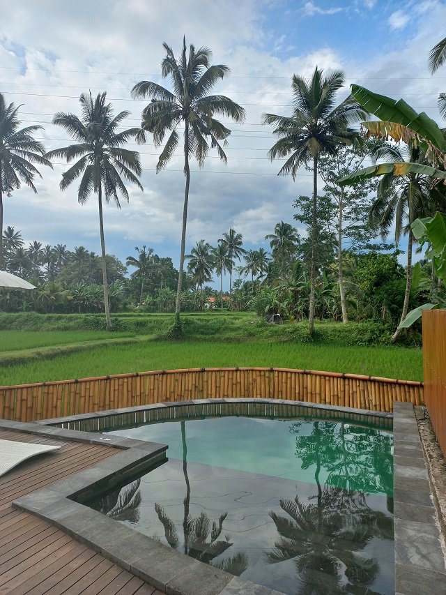 area Triyana Resort Carangsari Bali