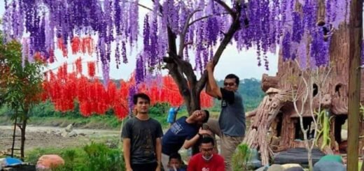 Taman Sakura Purwakarta jawa barat