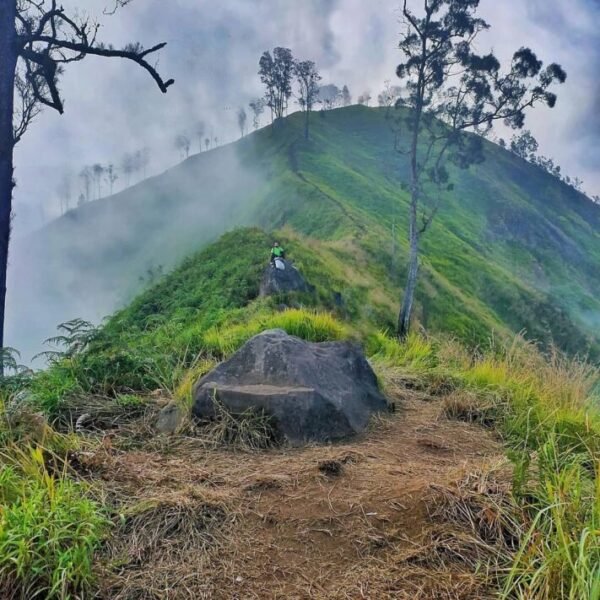 jalur pendakian gunung rinjani via sembalun