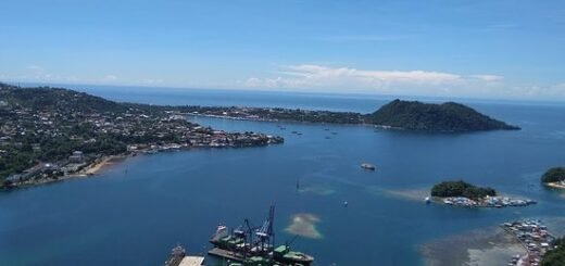 Jadwal Kapal Pelni Dari Jayapura