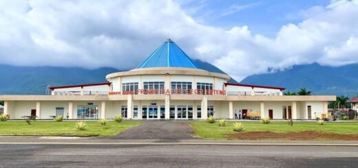 Bandar Udara Frans Sales Lega
