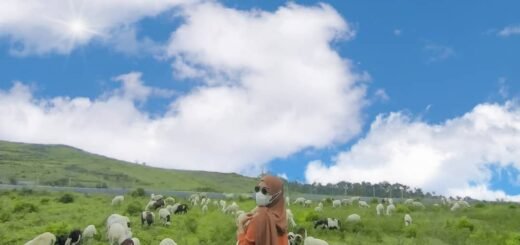 Bukit Manggala Cilongok Banyumas