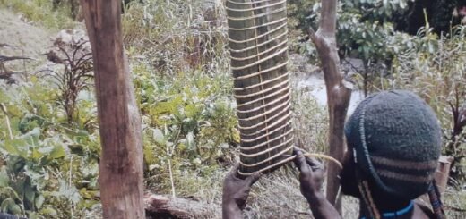 Garam Asli Masyarakat Papua