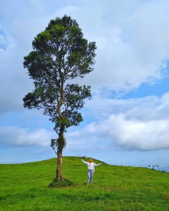 Lokasi Bukit Manggala Cilongok