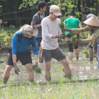Desa Wisata Trimulyo Bantul Jogjakarta