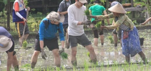 Desa Wisata Trimulyo Bantul Jogjakarta