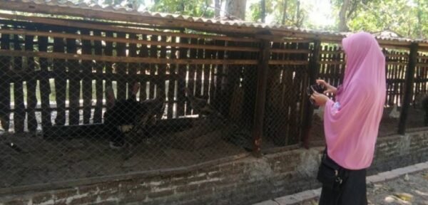 Kebun Binatang Mini Taman Wisata Olba Gerih
