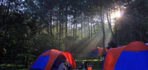 Tempat Camping Gunung Pancar