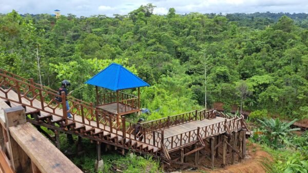Wisata Alam Bukit Cinta Bambu Kuning
