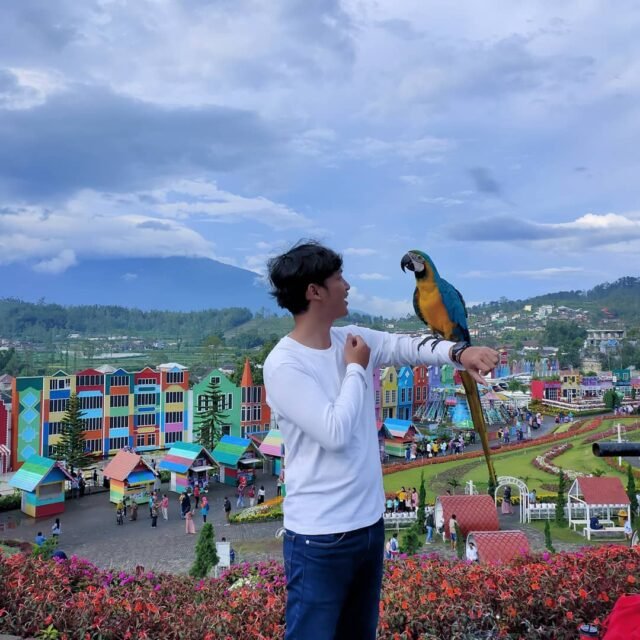 pujon kidul malang