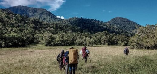 savana Gunung Geureudong